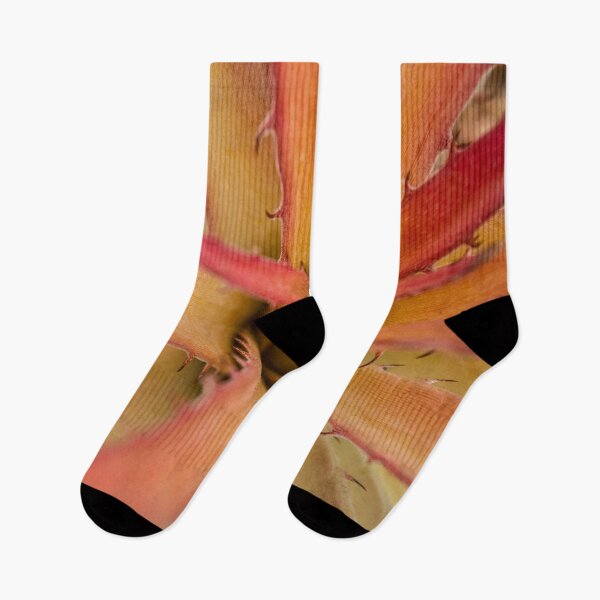 Item preview, wild plant with thorns designed and sold by felipequeiroz.