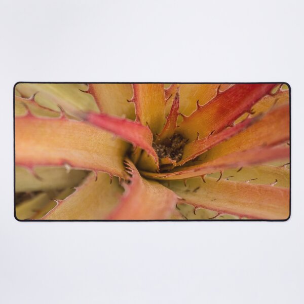 Item preview, wild plant with thorns designed and sold by felipequeiroz.