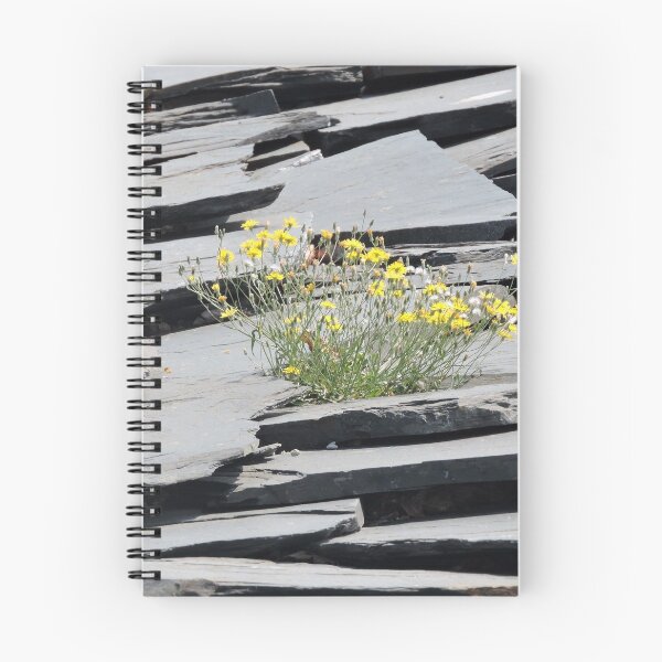 Item preview, Shout Out To All Plants Growing Through Concrete designed and sold by CreativeEm.