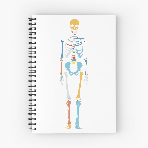 Item preview, Minimal Skeleton Line Art — Anatomy Study No. 6 designed and sold by iampaulmorris.
