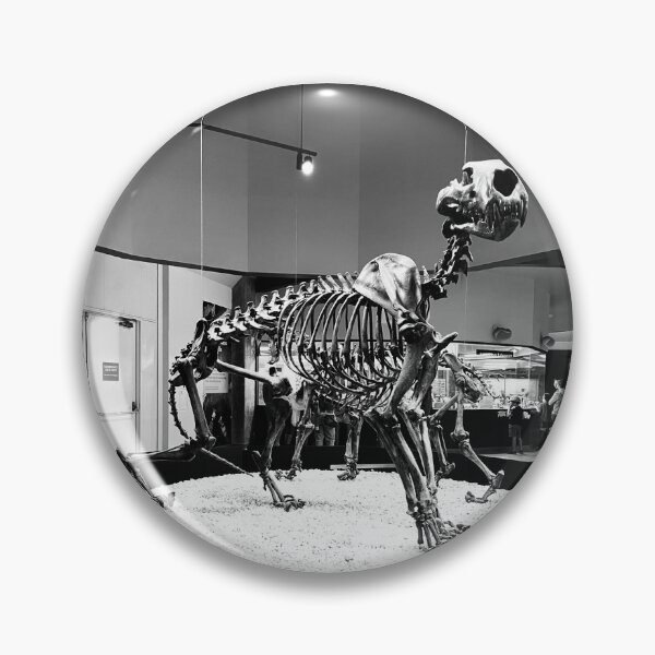 Item preview, La brea tar pits 1 (photo) designed and sold by Gothicbug1031.