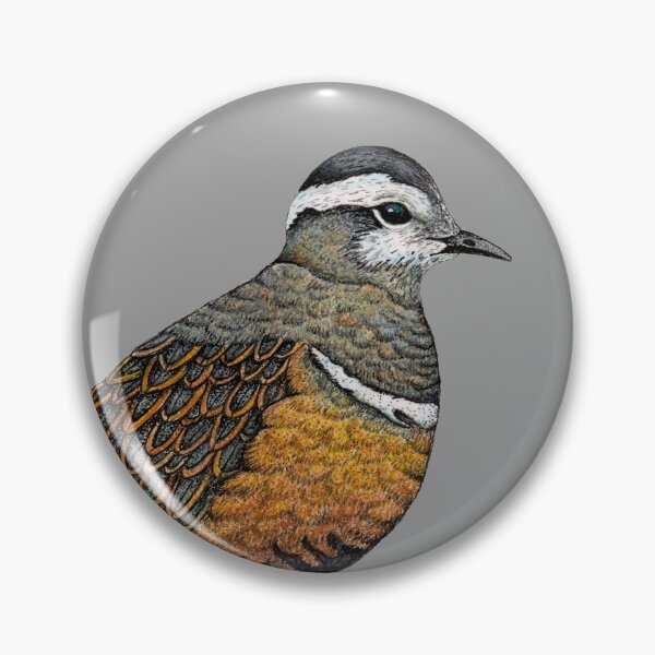 Item preview, Rare Dotterel Bird Study designed and sold by Christina Plumb.