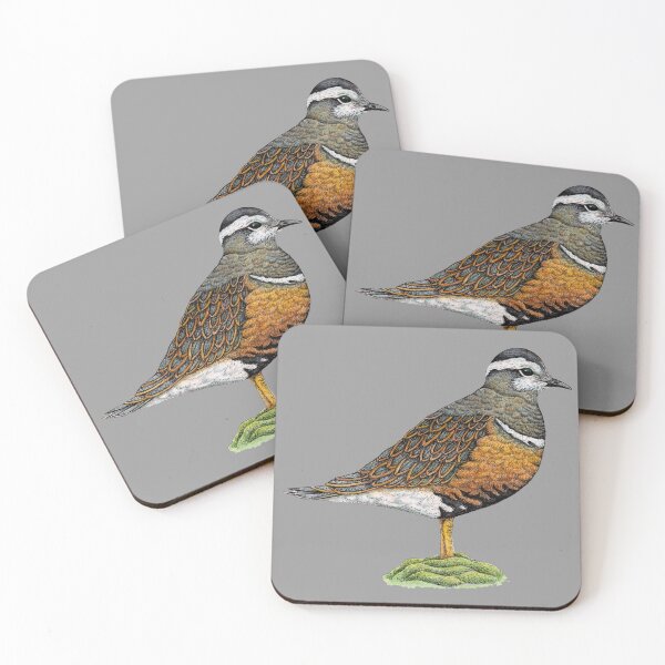 Item preview, Rare Dotterel Bird Study designed and sold by Christina Plumb.