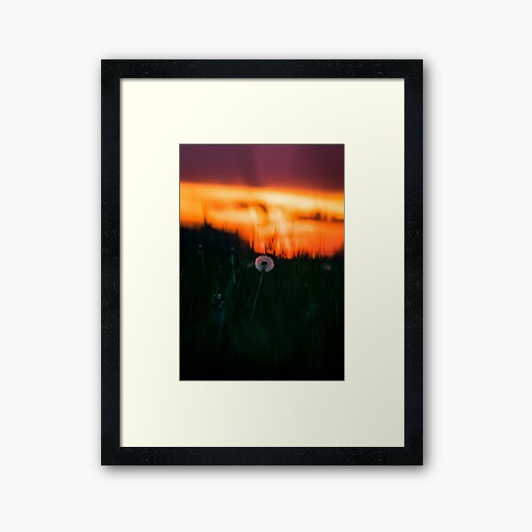 Dandelion Sunset 02 Framed Art Print