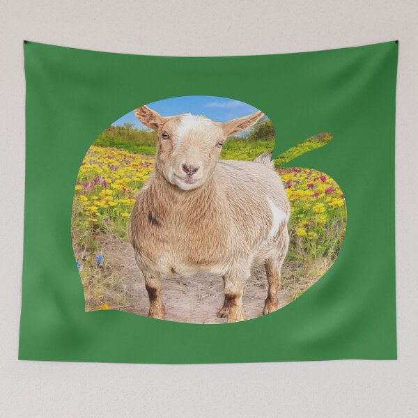 Item preview, Poppy (Constantine Goats) designed and sold by snickles1977.