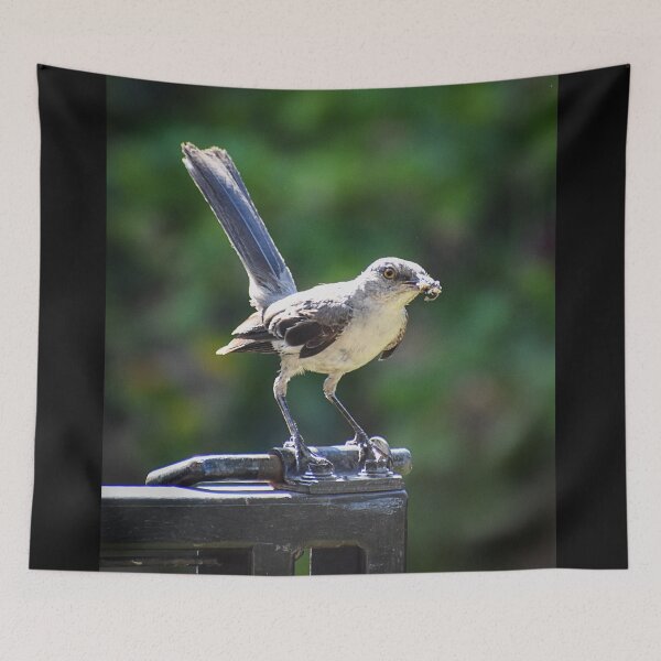 Item preview, Mockingbird's Meal designed and sold by WrightDesignsUS.