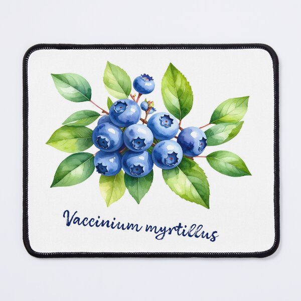 Item preview, Vaccinium Myrtillus - Botanical Painting designed and sold by Litely.