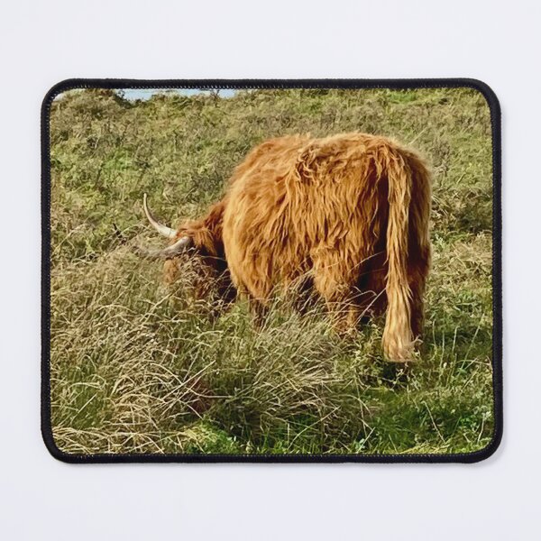 Item preview, Highland Cow designed and sold by penjarvis.