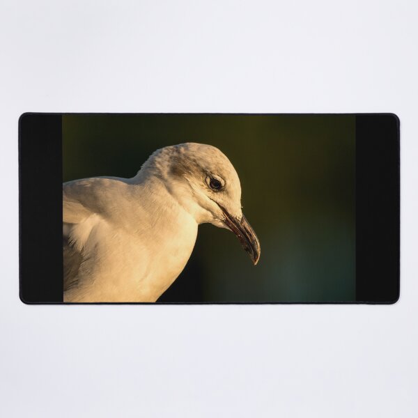 Item preview, Laughing Gull Deep In Thought designed and sold by Debra Martz.