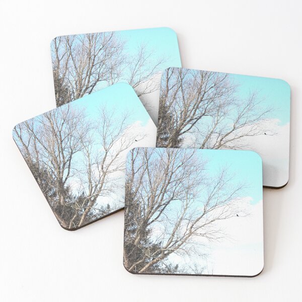 Item preview, Hawk on a branch designed and sold by gratogratto.