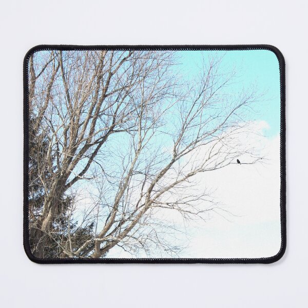 Item preview, Hawk on a branch designed and sold by gratogratto.