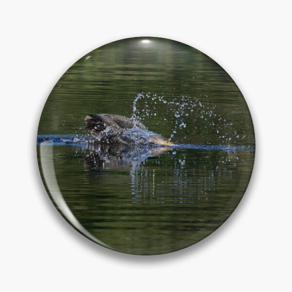 Item preview, Splash and go. Great cormorant designed and sold by Jouko Lehto Photography.