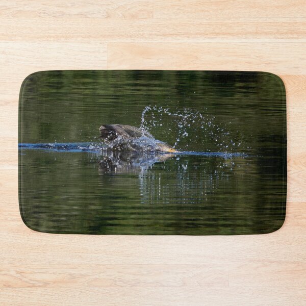 Item preview, Splash and go. Great cormorant designed and sold by Jouko Lehto Photography.