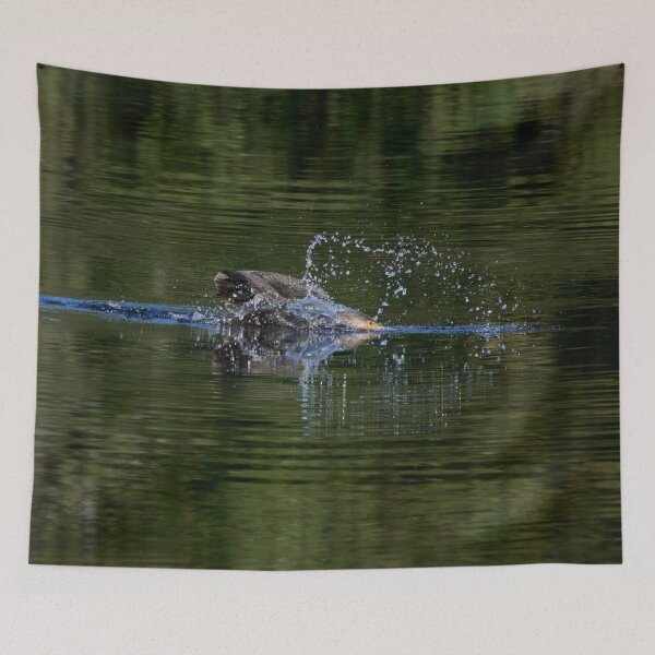 Item preview, Splash and go. Great cormorant designed and sold by Jouko Lehto Photography.