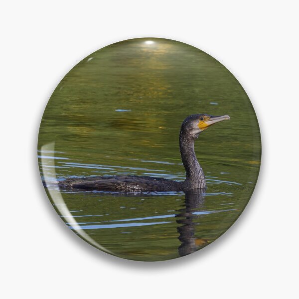 Item preview, The bold one. Great cormorant designed and sold by Jouko Lehto Photography.