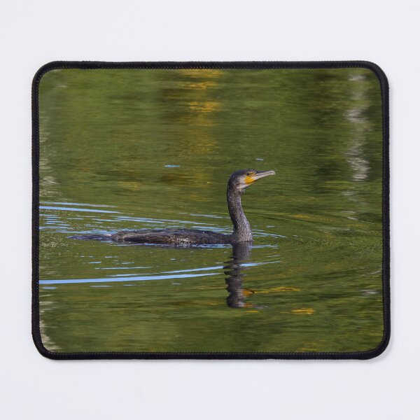 Item preview, The bold one. Great cormorant designed and sold by Jouko Lehto Photography.