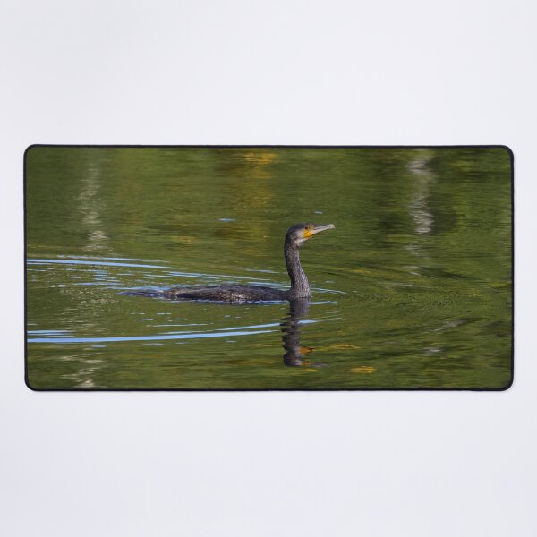 Item preview, The bold one. Great cormorant designed and sold by Jouko Lehto Photography.