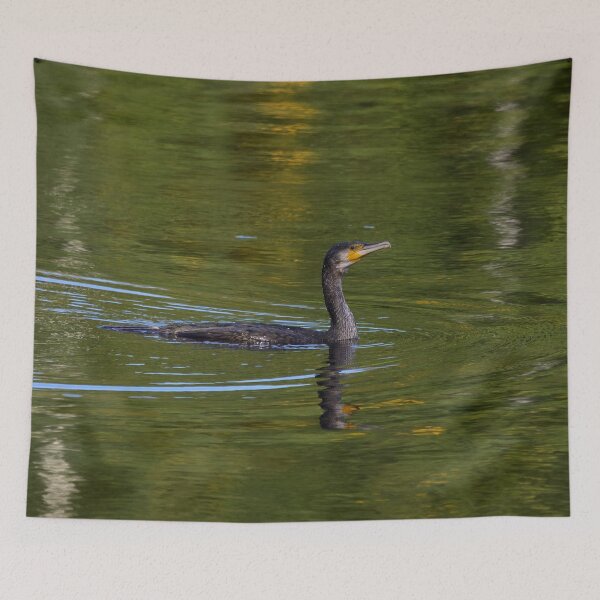 Item preview, The bold one. Great cormorant designed and sold by Jouko Lehto Photography.