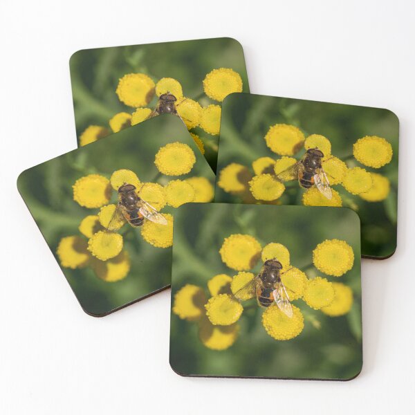 Item preview, Plain-faced Dronefly on Tansy designed and sold by Jouko Lehto Photography.