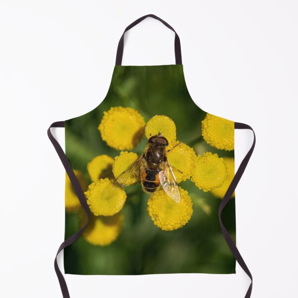 Item preview, Plain-faced Dronefly on Tansy designed and sold by Jouko Lehto Photography.