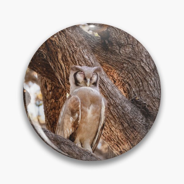 Item preview, Verreaux’s Eagle Owl designed and sold by Kay Brewer.