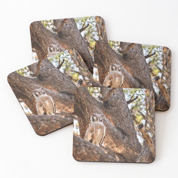 Item preview, Verreaux’s Eagle Owl designed and sold by Kay Brewer.