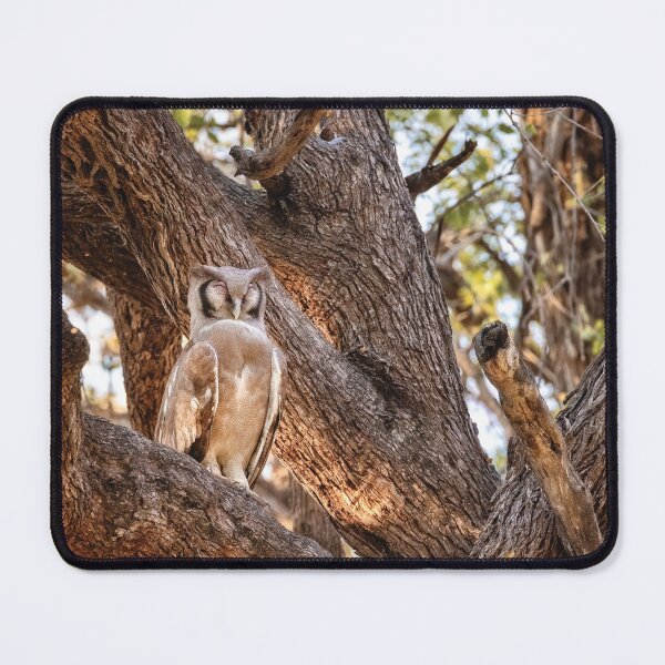 Item preview, Verreaux’s Eagle Owl designed and sold by Kay Brewer.
