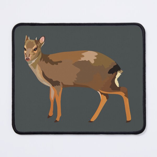Item preview, B is for Blue Duiker, Blue Duiker | Hoofstock Lover & Wildlife Art Design designed and sold by PrettylittlepastelUk.