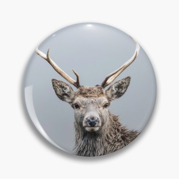 Item preview, Misty Scottish Highlands Stag designed and sold by CEastwoodPhotos.