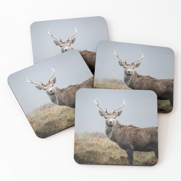 Item preview, Misty Scottish Highlands Stag designed and sold by CEastwoodPhotos.