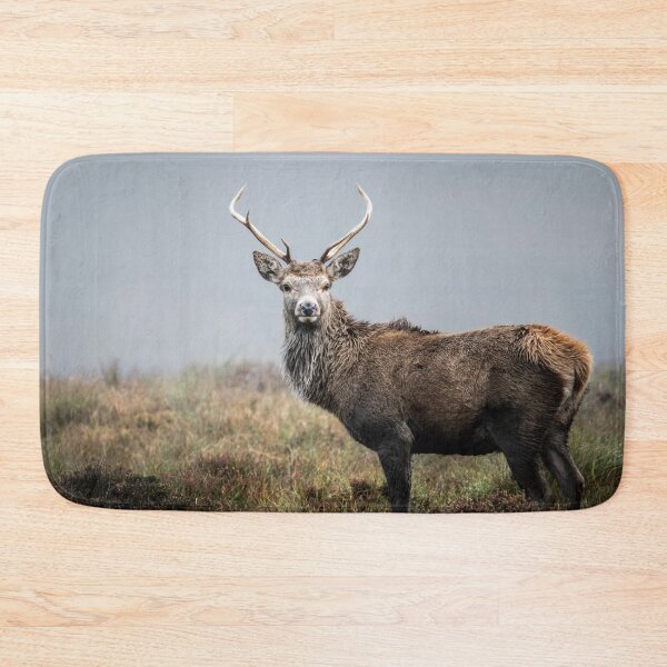 Item preview, Misty Scottish Highlands Stag designed and sold by CEastwoodPhotos.