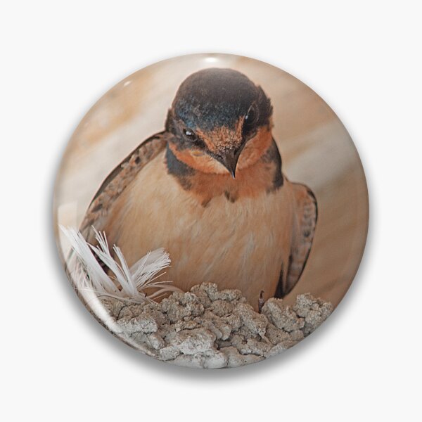Item preview, Living In The Rafters designed and sold by My Photo Shop.