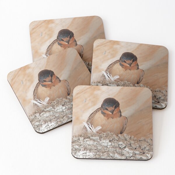 Item preview, Living In The Rafters designed and sold by My Photo Shop.