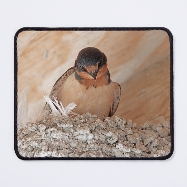 Item preview, Living In The Rafters designed and sold by My Photo Shop.