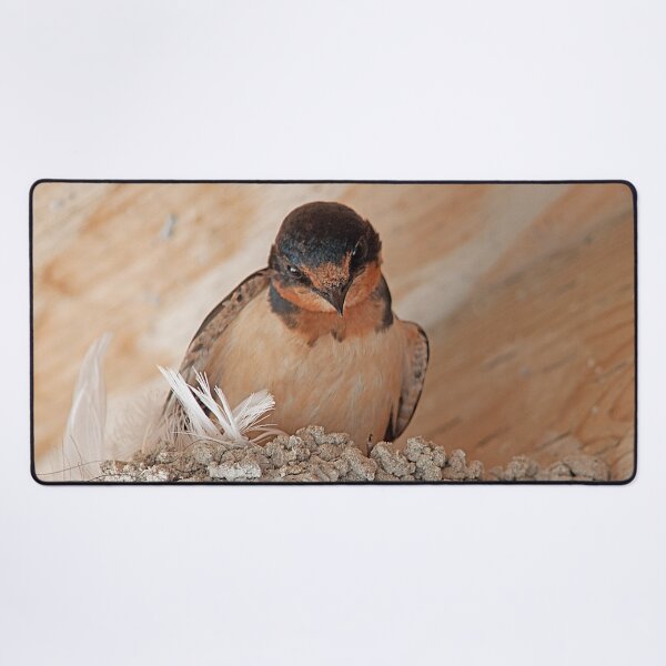 Item preview, Living In The Rafters designed and sold by My Photo Shop.