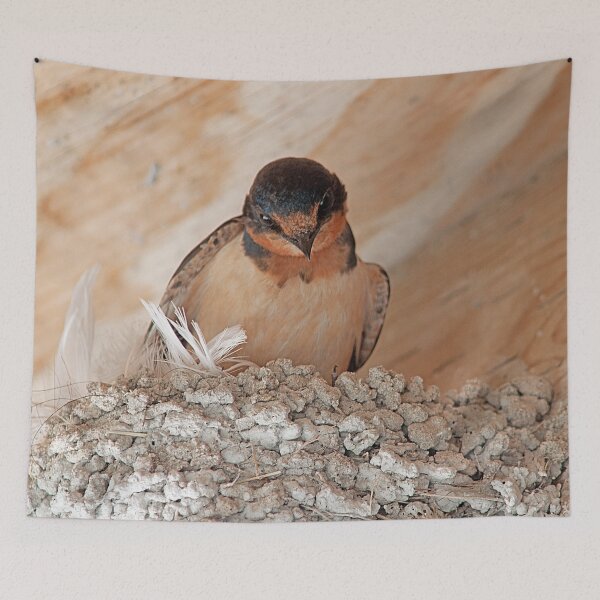 Item preview, Living In The Rafters designed and sold by My Photo Shop.