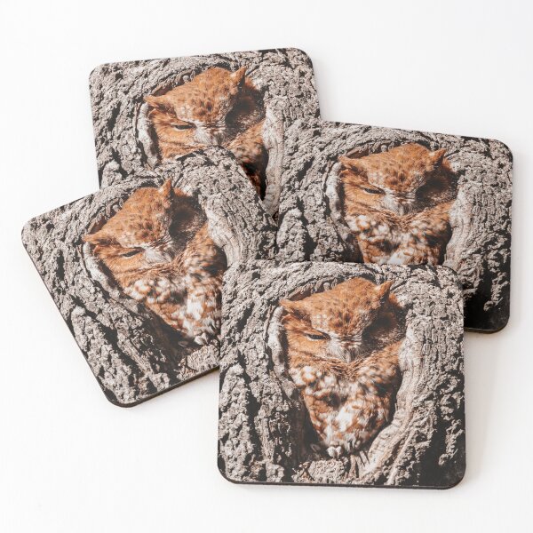 Item preview, Sleepy Red Screech Owl designed and sold by Kerri Ann McClellan.