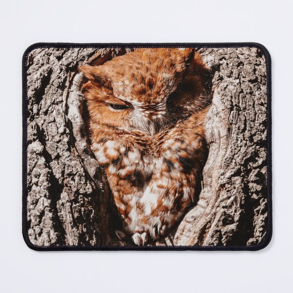 Item preview, Sleepy Red Screech Owl designed and sold by Kerri Ann McClellan.