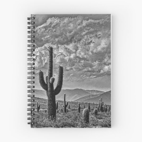 Item preview, Cactus designed and sold by Keltoi-art.
