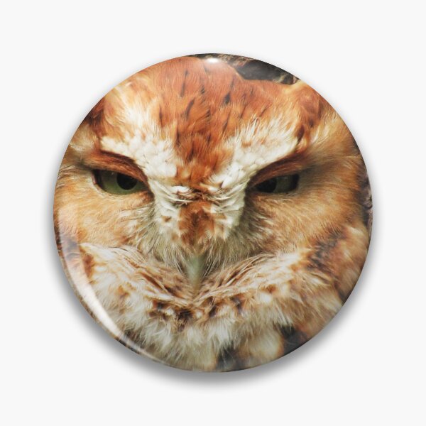 Item preview, Green Eyed Screech Owl designed and sold by Kerri Ann McClellan.