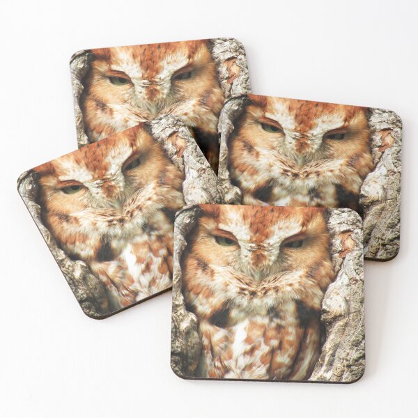 Item preview, Green Eyed Screech Owl designed and sold by Kerri Ann McClellan.