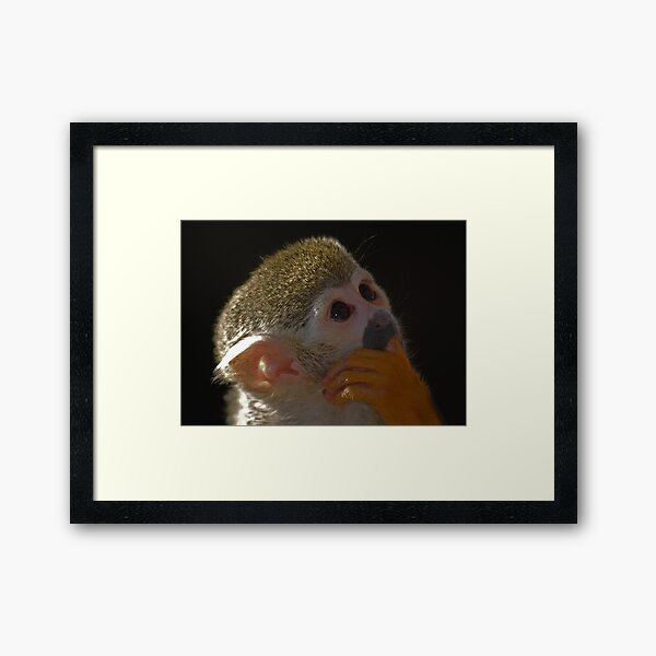 What Are They Thinking Framed Art Print