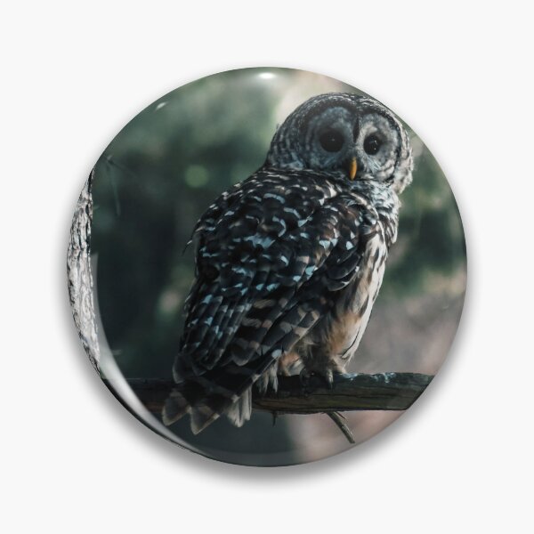 Item preview, Green Tinted Barred Owl designed and sold by Kerri Ann McClellan.