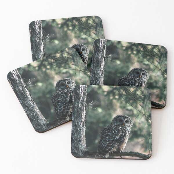 Item preview, Green Tinted Barred Owl designed and sold by Kerri Ann McClellan.
