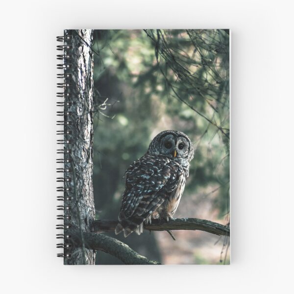 Item preview, Green Tinted Barred Owl designed and sold by Kerri Ann McClellan.