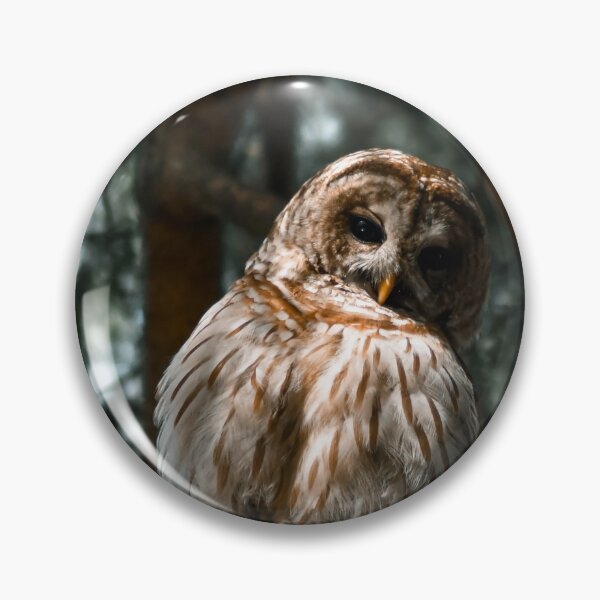 Item preview, Give a Hoot designed and sold by Kerri Ann McClellan.