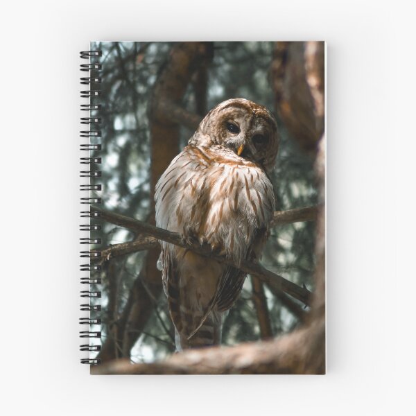 Item preview, Give a Hoot designed and sold by Kerri Ann McClellan.