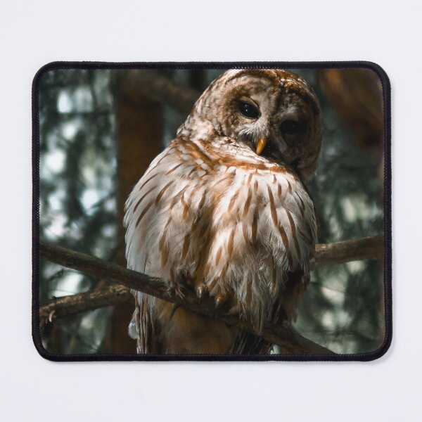 Item preview, Give a Hoot designed and sold by Kerri Ann McClellan.