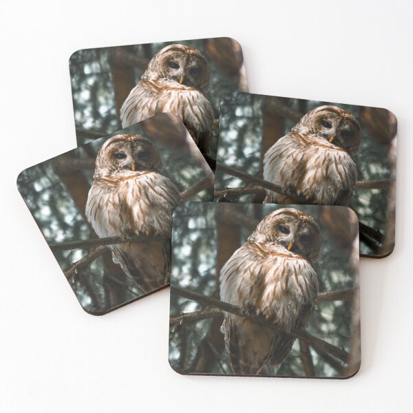 Item preview, Give a Hoot designed and sold by Kerri Ann McClellan.
