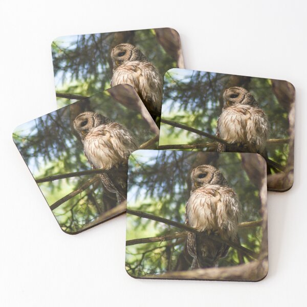 Item preview, I Spy designed and sold by Kerri Ann McClellan.